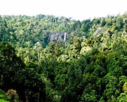 Pakoka Valley 121205PakokaValley