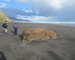 Elephant Rock on Ngarunui Beach 121219ElephantRock