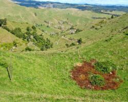 Area around Lake Disappear 130123lakedisappeararea