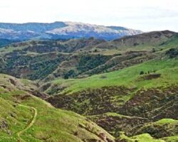 Walk above Waitetuna organic farm 130130waitetunaorganic