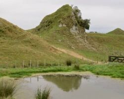Limestone outcrop on Karamu walkway 130220limestone