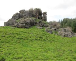 A craggy limestone outcrop in lower Waitetuna Valley 130320lowerwaitetunavalley