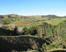 Views over the Waipa Valley on the Whatawhata Hill Country Research Station walk 130417whatawhatahill