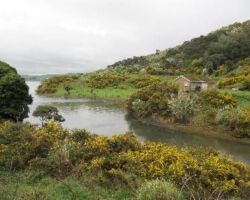 Harbour inlet on Te Akau walk 130424teakaujettybirdbay