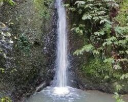 Cascades on Hakarimata walk 130501hakarimata
