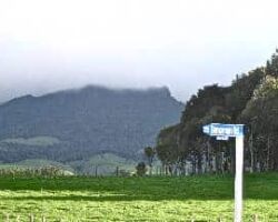 Hills Farm on Te Hutewai Rd 130522hillsfarm