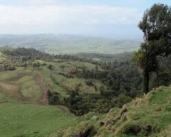 Views from Plateau Rd 130605plateau