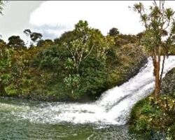 Waterfall on the Toperau walk 130703toperau