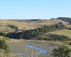 Omahina Creek 130710omahina