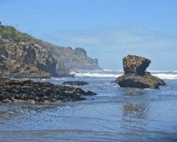 Ruapuke Beach 130717ruapukebeachwalk