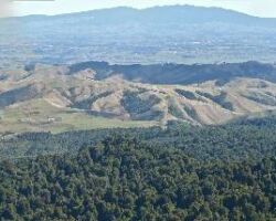 View from Maungatautari 130822maungatautari-jpg