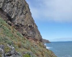 Rugged coast near Te Toto Gorge 130919tetotocoast