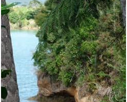 Glimpse of waters of the Kaitoke 131016kaitoke