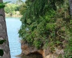 Glimpse of waters of the Kaitoke 131016kaitoke