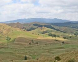 View from Waitetuna Organic Farm walk 131023waitetunaorganic