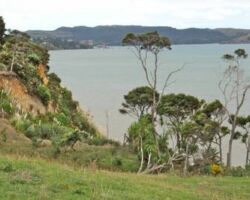 Okete Falls inlet 131106okete