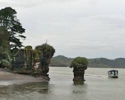 Limestone stacks on northern side of Raglan Harbour 131113limestonestacks
