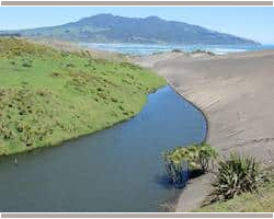 View with Karioi in distance on Mussel Rock walk 131113musselrocklake