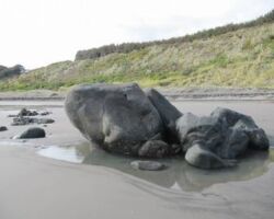 Elephant Rock on Ngarunui Beach 131212lionrock