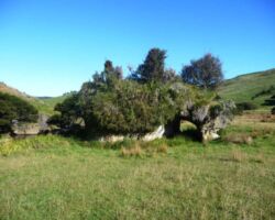 Limestone arch in Pakoka valley below the Bridal Veil Falls 140115pakoka