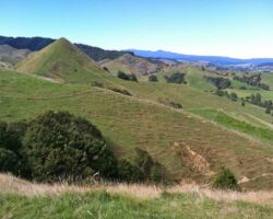 Heretu overlooking the divi (SH23) 140122heretu