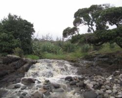 Stream at Whale Bay 140306whalebaystream
