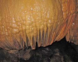 Stalactites in Adventure Waikato cave at Te Akau 140313adventurewaikatocaves
