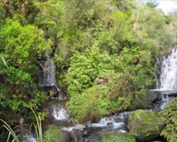 The hidden waterfalls of Rangitahi 140416rangitahiwaterfalls