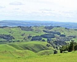 View from Magic Mountain 140501viewfrommagicmountain