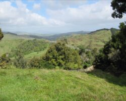 View on Ed Hillary Hope Reserve 140521edhillaryhopereserve