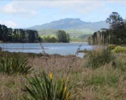View of Kaitoke with Mount Karioi in backgorund 140529viewofkaitoke