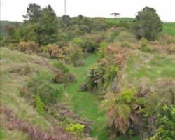 Scene on walk to Te Uku Wind Farm where the road cutting shows the partly formed road to Waitetuna started in 1908, but never completed after the First World War. Wind turbine tower in mist in background. 140703windfarmwalk