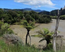 Omahina Creek 140904omahinacreek