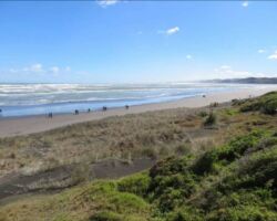 Raglan Ramblers stroll along Ngarunui Beach 141106ngarunuibeach