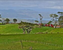 A view from the Raglan Ramblers walk on the south-east side of Karioi 141113southeastkarioiwalk