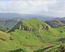 View from Karamu Walkway 141127viewfromkaramuwalkway