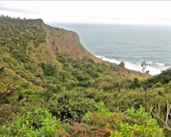 Te Toto Gorge 150104tetotogorge