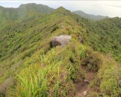 Ascending Karioi from Ruapuke side along the ridge 150326karioiridge