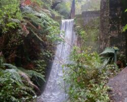 On the Hakarimata's walk is the tree-lined 1923 Mangarata reservoir,
which once supplied Ngaruawahia with water 150401hakarimatawaterfall