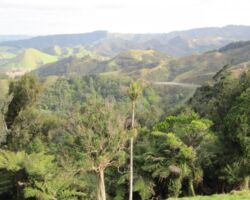 View from Karamu Walkway 150430karamuwalkwayimg_3167