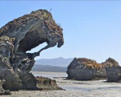 Some of the amazing rock formations along the beach and out into Aotea Harbour 150507aoteaharbourlimestoneformations