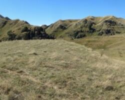 The fillery cliffs at Karamu 150521-img_6905-15-22-1-3-2015-fillery-cliffs