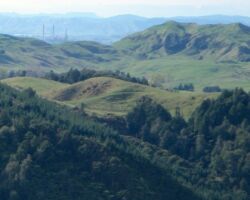 View of Waikato from the Raglan Ramblers' Glen Massey walk 150522glenmassey