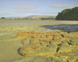 Scene on Raglan Rambler's walk on Peart's Finger 150730peartsfinger