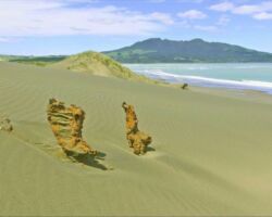 View from Mussel Rock with Mount Karioi in the distance 150806musselrockviewbacktokarioi