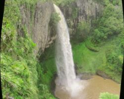 Wairenga Bridal Veil Falls 150827wairengabridalveilfalls