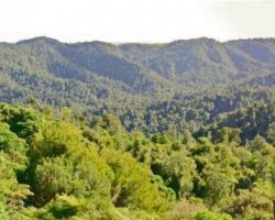 View on Whatawhata Hill Country Station walk 151015whcsviews