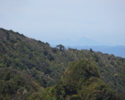Tongariro from Mount Karioi 151112-jl-tongarirofromkarioi-img_9191