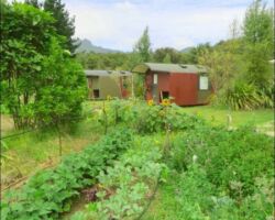 Solscape railway coach cabins and organic gardens 151126solscaperailwaycoachcabins