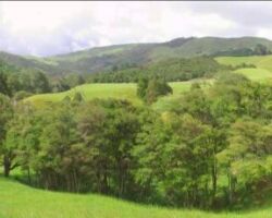 Ramblers walk towards the Mangakino Valley 151203mangakinovalley